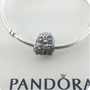 Pandora Owl & Owlet Charm